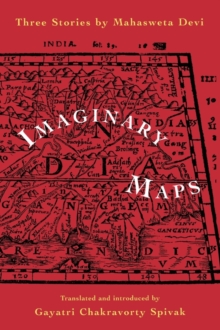 Image for Imaginary Maps