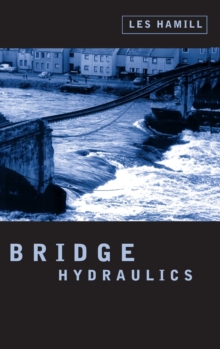 Image for Bridge Hydraulics