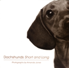 Image for Dachshunds short and long