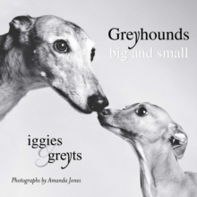 Greyhounds Big And Small