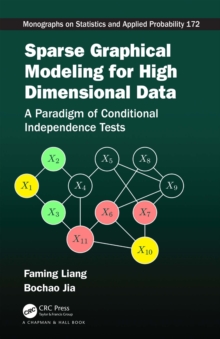Image for Sparse graphical modeling for high dimensional data: a paradigm of conditional independence tests