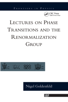 Image for Lectures on phase transitions and the renormalization group