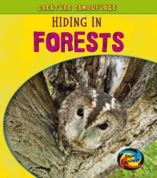 Image for Hiding in forests