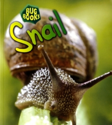 Image for Snail