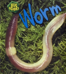 Image for Worm