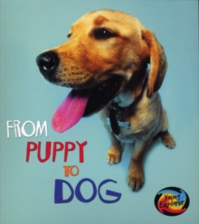 Image for From Puppy to Dog