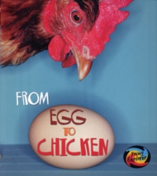 Image for From Egg to Chicken
