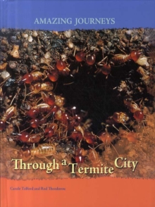 Image for Through a Termite City