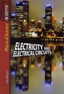 Image for Electricity and Electrical Circuits