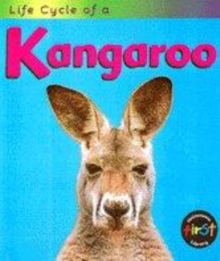 Image for Life cycle of a kangaroo