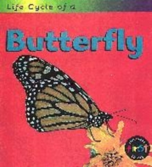 Image for Life cycle of a butterfly