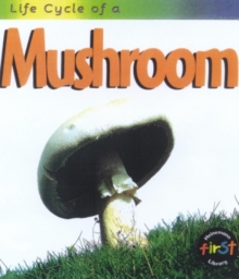 Image for Life Cycle of a Mushroom
