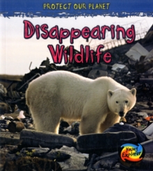 Image for Disappearing wildlife