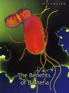Image for The Benefits of Bacteria