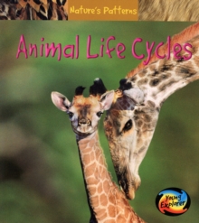 Image for Animal life cycles