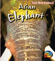 Image for Asian elephant