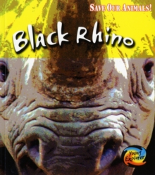 Image for Black rhino