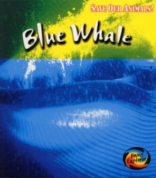 Image for Blue whale