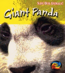 Image for Giant panda