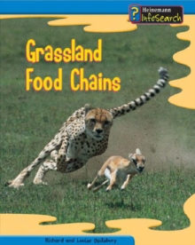 Image for Grassland food chains