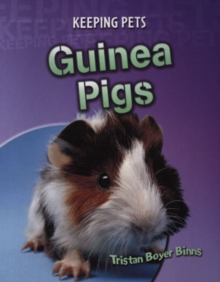 Image for Guinea pigs