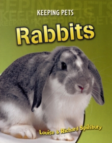 Image for Rabbits