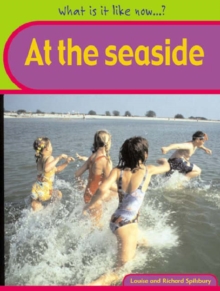 Image for Seaside Big Book