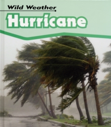 Image for Hurricane