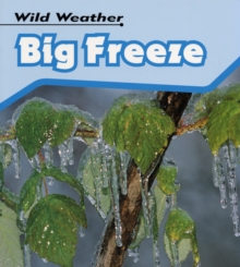 Image for Big freeze