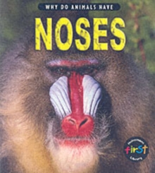 Image for Why do animals have noses