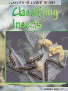 Image for Classifying insects