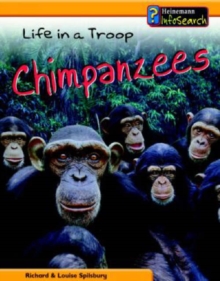 Image for Life in a troop - chimpanzees