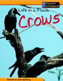 Image for Life in a flock - crows