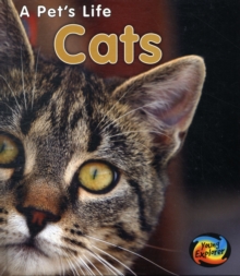 Image for Cats