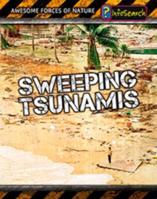 Image for Sweeping tsunamis