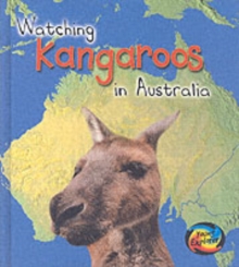 Image for Watching kangaroos in Australia