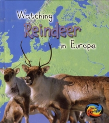 Image for Watching reindeer in Europe