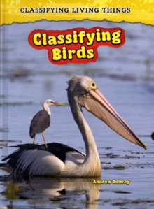 Image for Classifying Birds