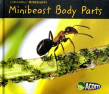 Image for Minibeast body parts