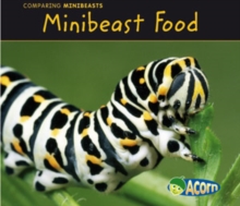 Image for Minibeast Food