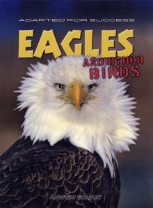 Image for Eagles and Other Birds