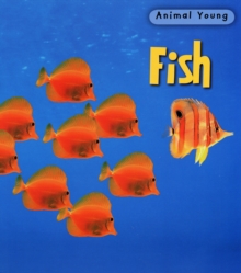 Image for Fish