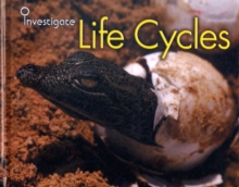 Image for Life Cycles
