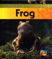 Image for Life cycle of a frog