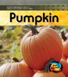 Image for Life Cycle of a Pumpkin