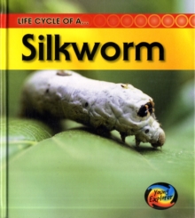 Image for Life cycle of a silkworm