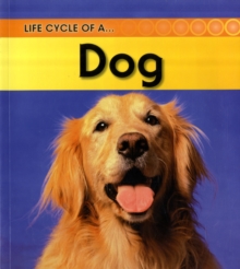 Image for Life Cycle of a Dog