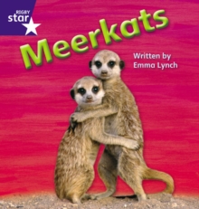 Image for Star Phonics: Meerkats (Phase 5)