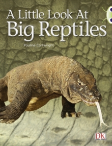 Image for Bug Club Guided Non Fiction Year 1 Blue B A Little Look at Big Reptiles