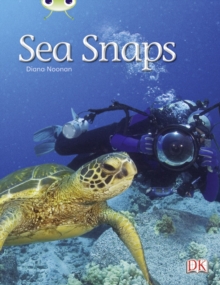 Image for Bug Club Independent Non Fiction Year 1 Green A Sea Snaps